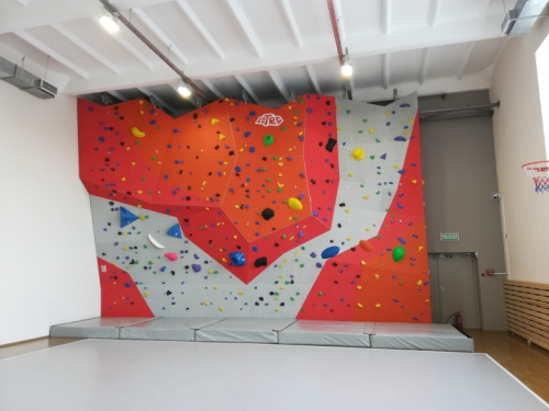 Climbing wall Aztec for liceum "Technopolis"